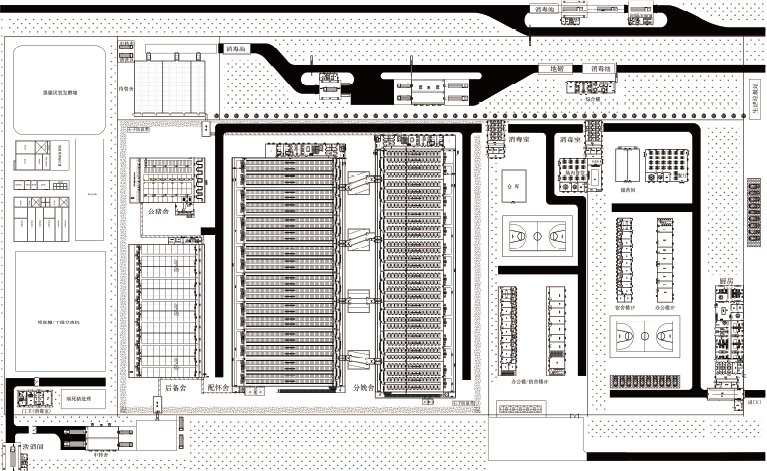 Zengxin digital pig farm breeding new model