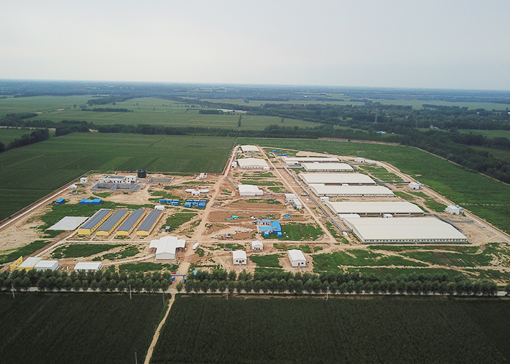 Shandong wens swine farm Liulin pig farm project