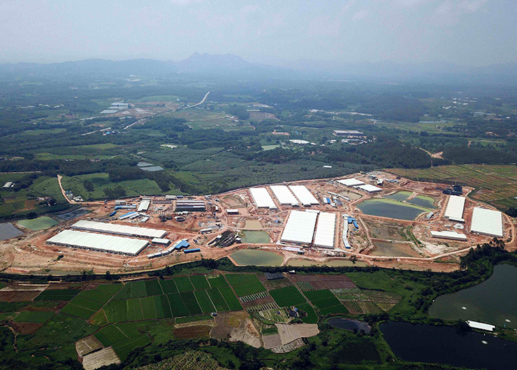 Guangdong kaiping wens tangmei pig farm project