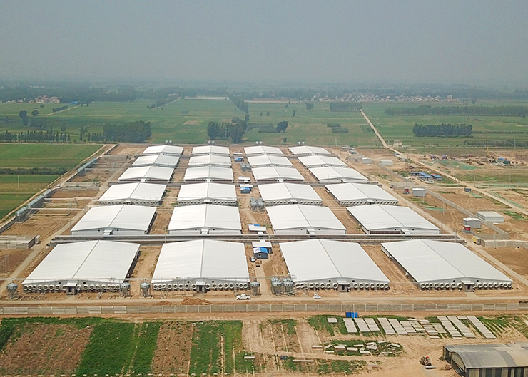 Shandong new hope Juye pig farm project