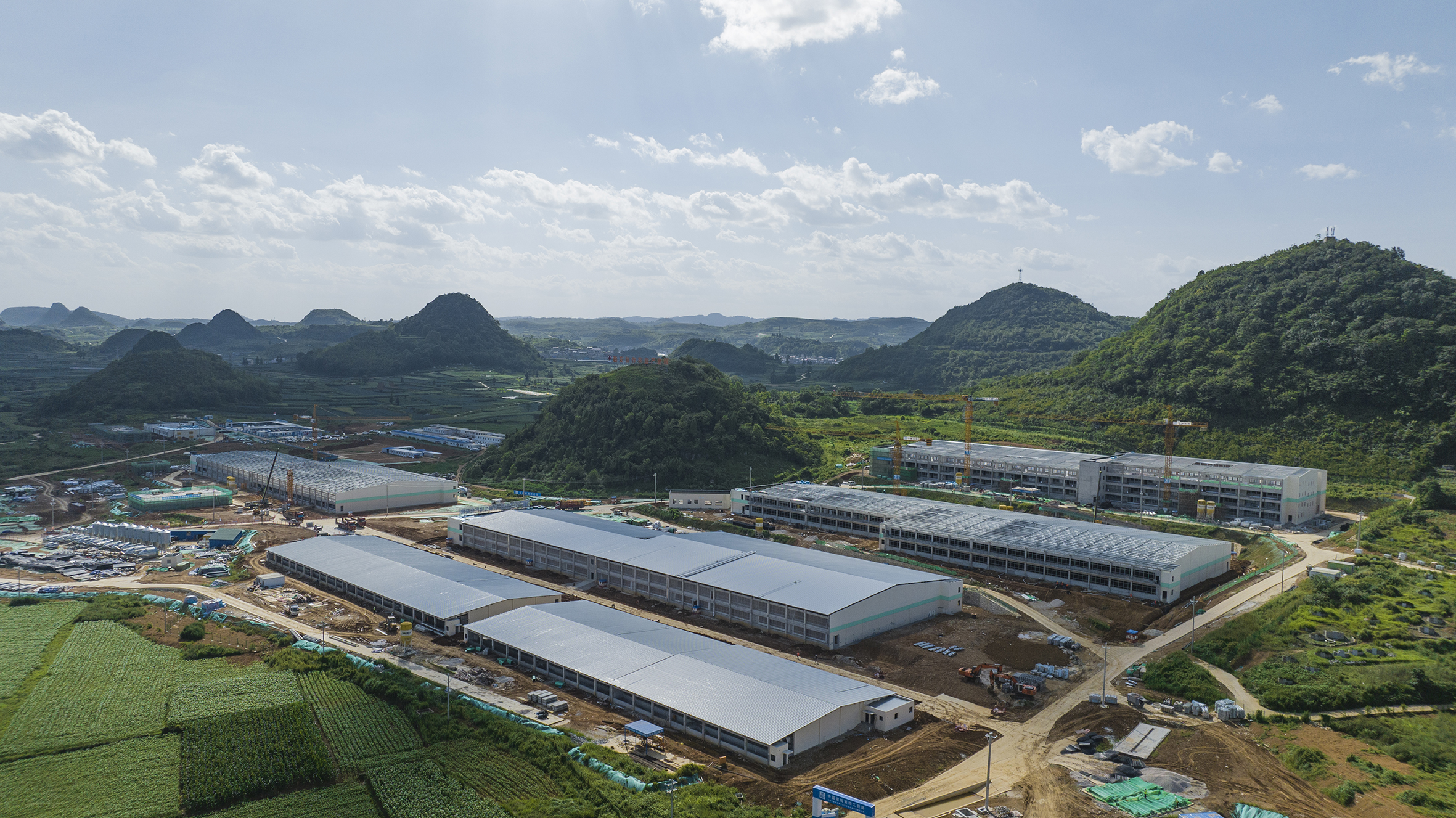 Dự án trang trại lợn Guizhou A