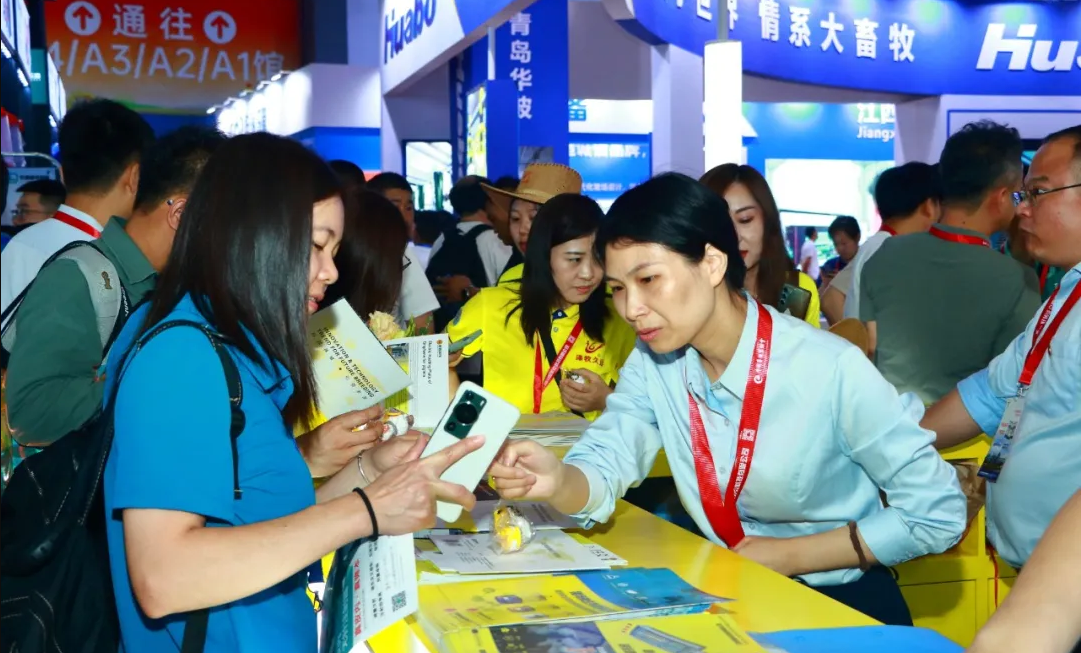 Những người bạn và bạn bè mới đến theo lịch trình | "Khoảnh khắc WeChat" của Zengxin tiếp tục mở rộng