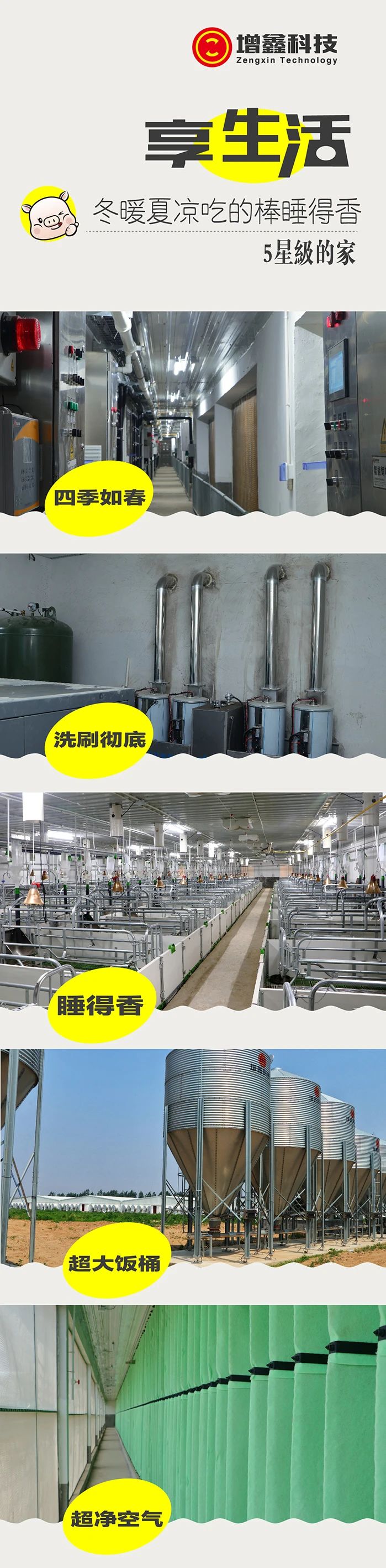 (图6) (图6)