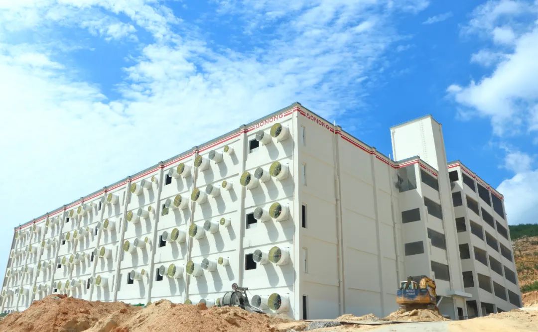(图7) (图7)