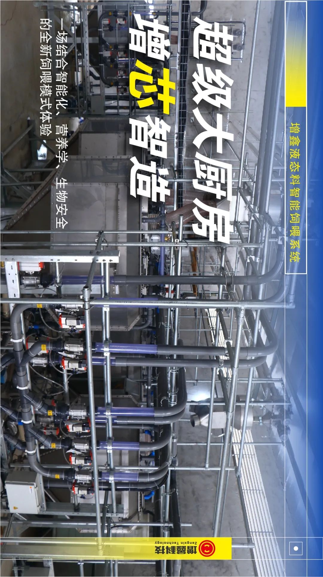 (图2)