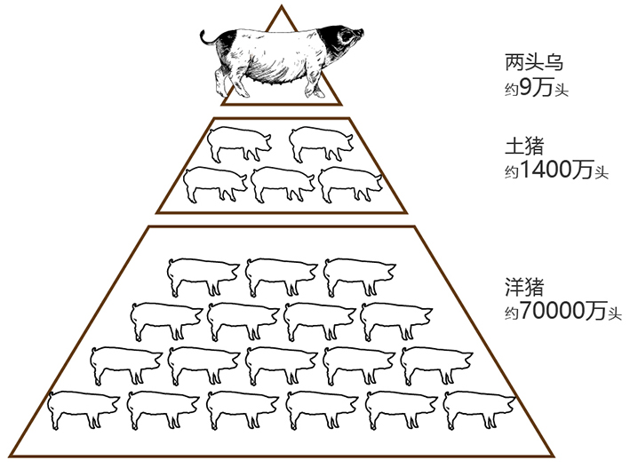 两头乌推文_画板 1 副本 2.jpg